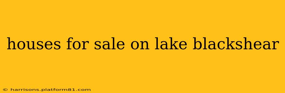 houses for sale on lake blackshear