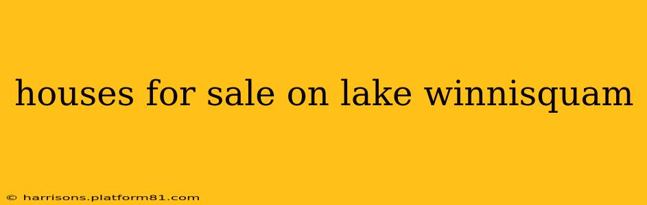 houses for sale on lake winnisquam