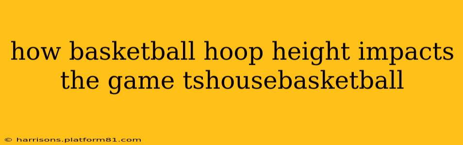 how basketball hoop height impacts the game tshousebasketball