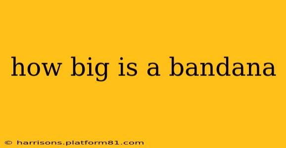 how big is a bandana