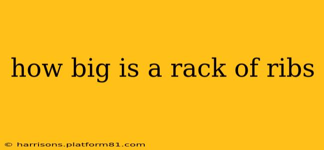 how big is a rack of ribs