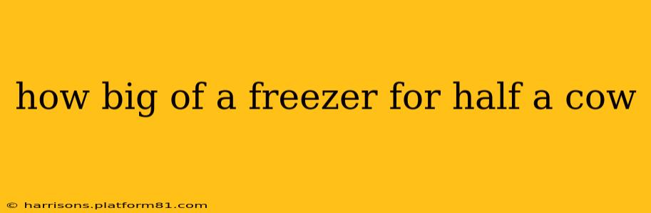 how big of a freezer for half a cow