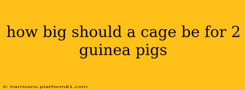 how big should a cage be for 2 guinea pigs