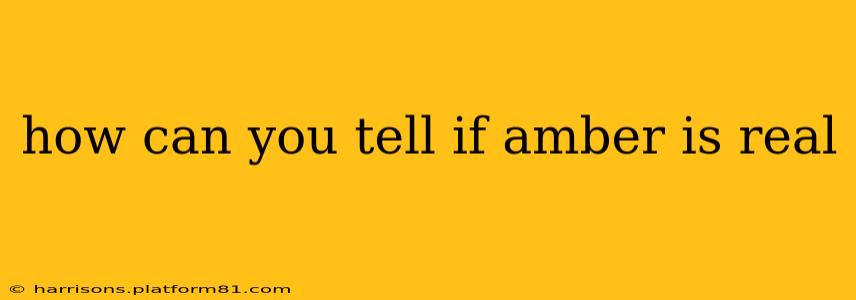 how can you tell if amber is real