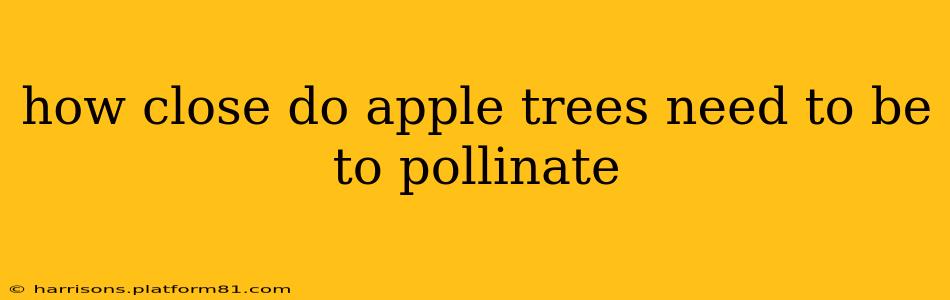 how close do apple trees need to be to pollinate