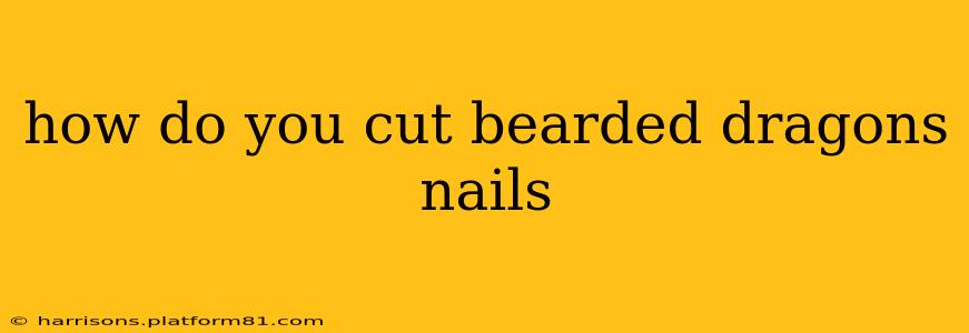 how do you cut bearded dragons nails