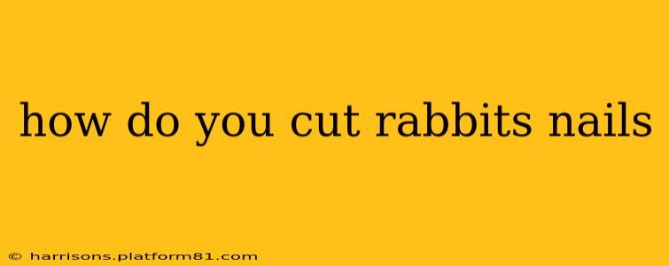 how do you cut rabbits nails