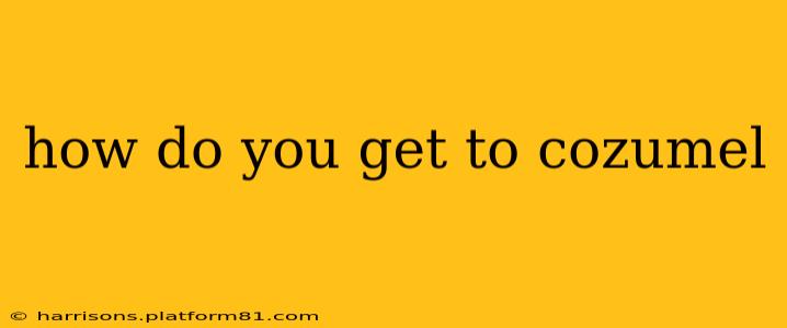 how do you get to cozumel