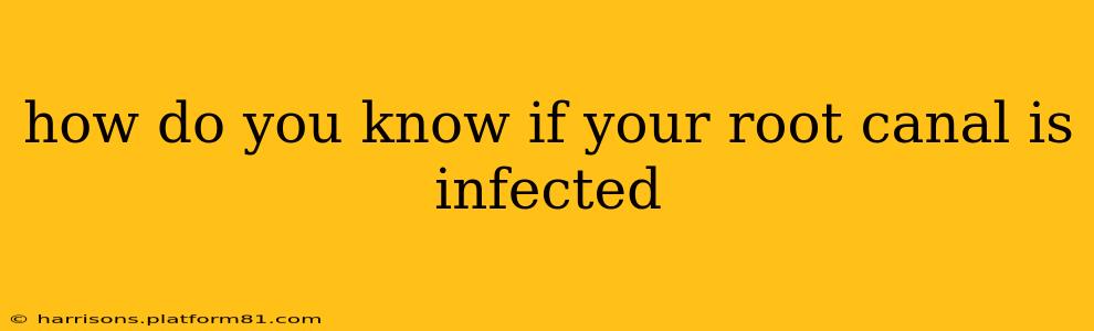 how do you know if your root canal is infected