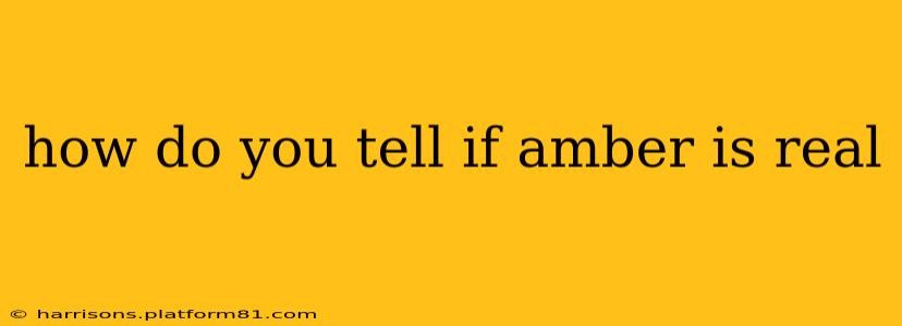 how do you tell if amber is real