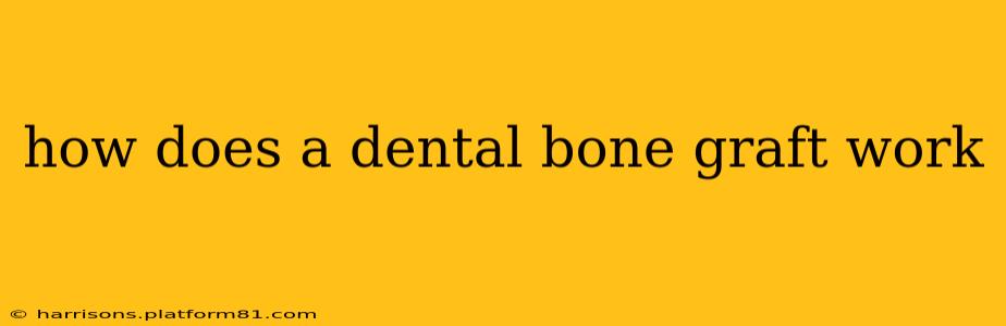 how does a dental bone graft work