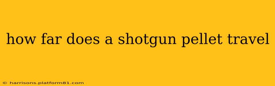 how far does a shotgun pellet travel