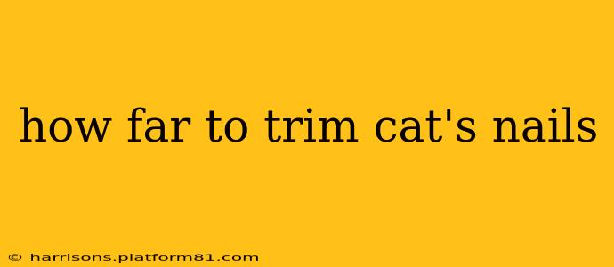 how far to trim cat's nails