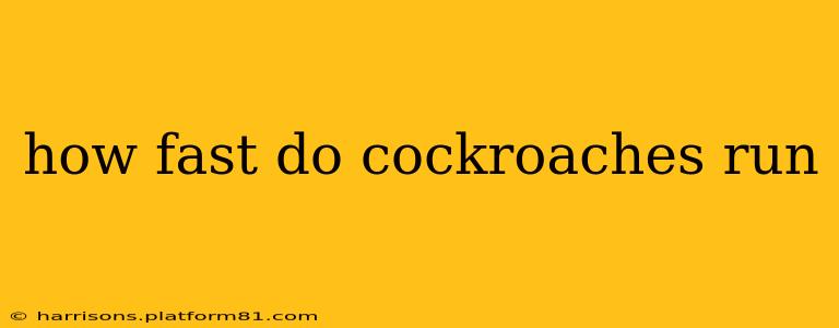 how fast do cockroaches run