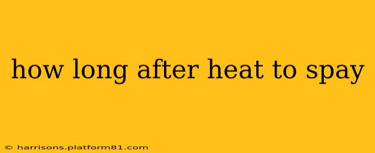 how long after heat to spay