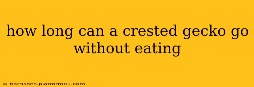 how long can a crested gecko go without eating