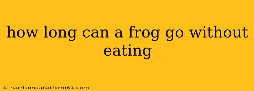 how long can a frog go without eating