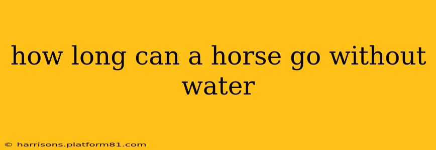 how long can a horse go without water