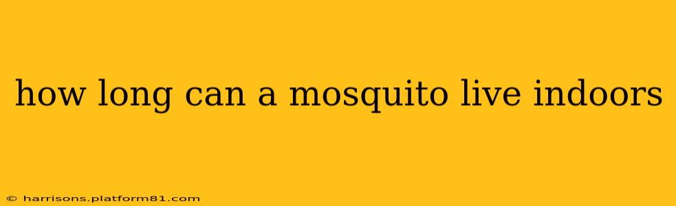 how long can a mosquito live indoors
