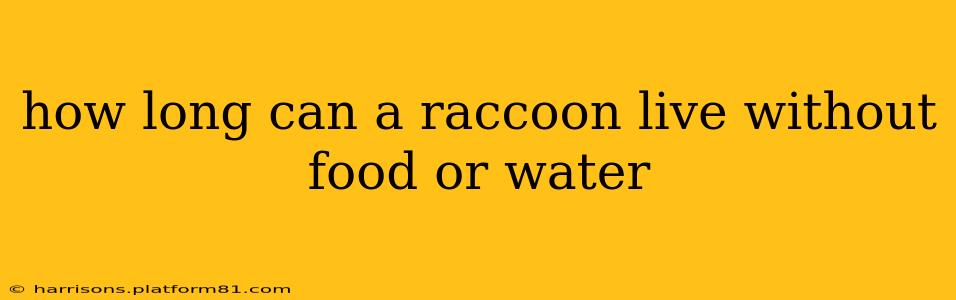 how long can a raccoon live without food or water