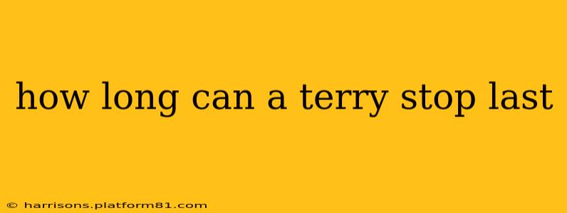how long can a terry stop last