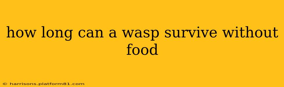 how long can a wasp survive without food