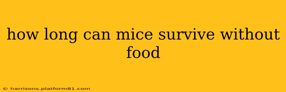 how long can mice survive without food