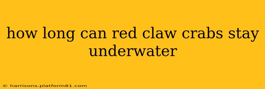 how long can red claw crabs stay underwater