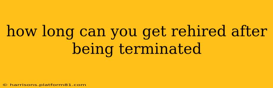 how long can you get rehired after being terminated
