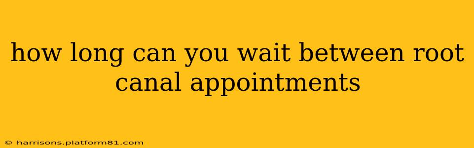 how long can you wait between root canal appointments