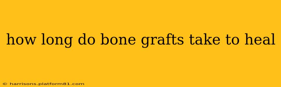 how long do bone grafts take to heal