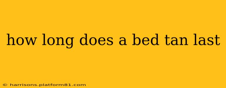 how long does a bed tan last