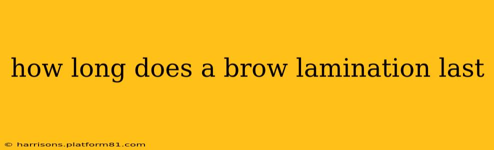 how long does a brow lamination last