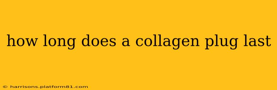 how long does a collagen plug last