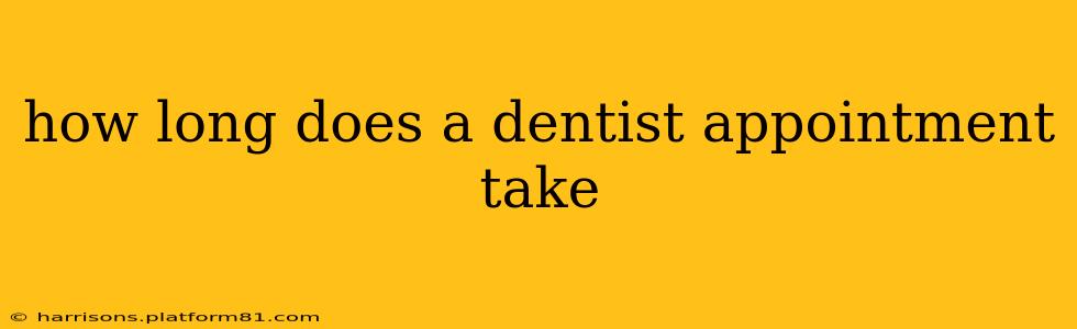 how long does a dentist appointment take
