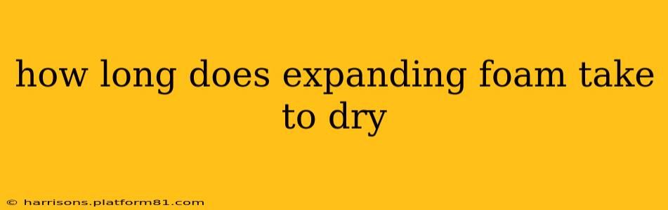 how long does expanding foam take to dry