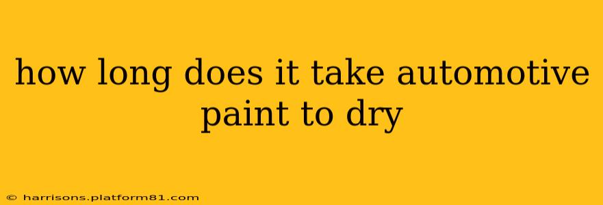 how long does it take automotive paint to dry