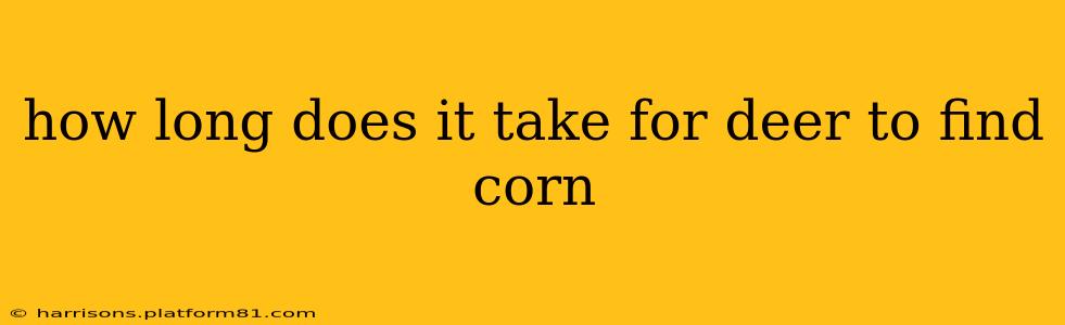 how long does it take for deer to find corn