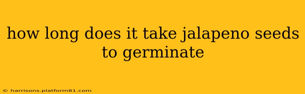 how long does it take jalapeno seeds to germinate