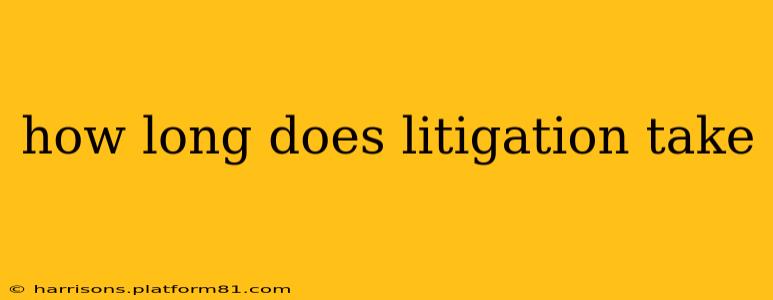 how long does litigation take