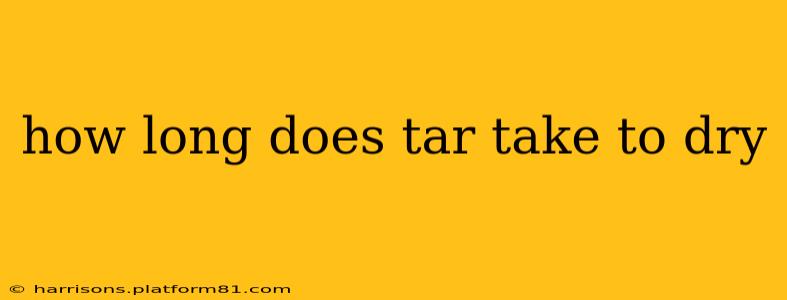 how long does tar take to dry