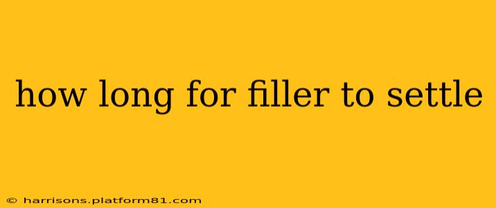 how long for filler to settle