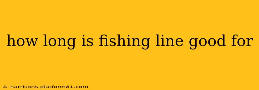 how long is fishing line good for