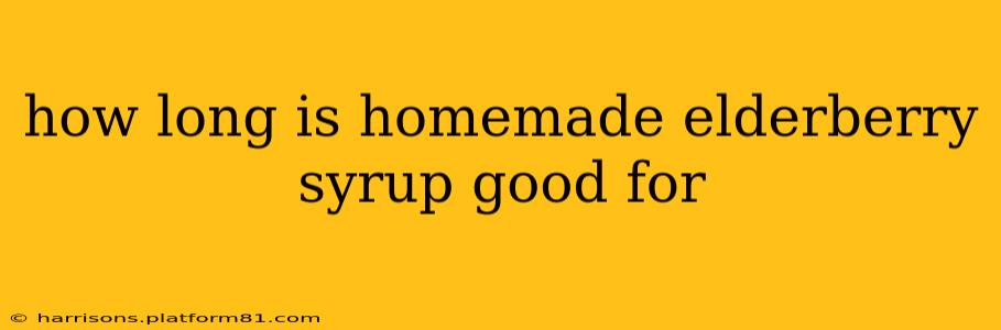 how long is homemade elderberry syrup good for