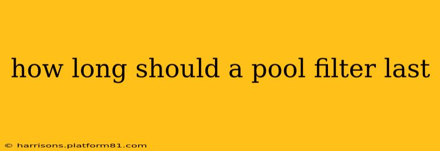 how long should a pool filter last