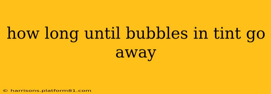 how long until bubbles in tint go away