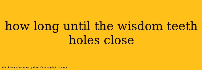how long until the wisdom teeth holes close