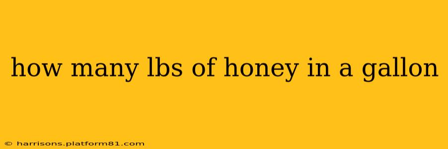how many lbs of honey in a gallon