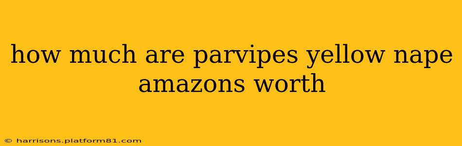 how much are parvipes yellow nape amazons worth