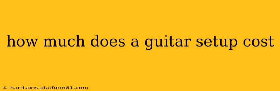 how much does a guitar setup cost